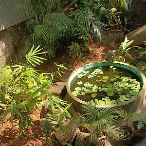 adams-wood-house.kerala-hotels.net/
